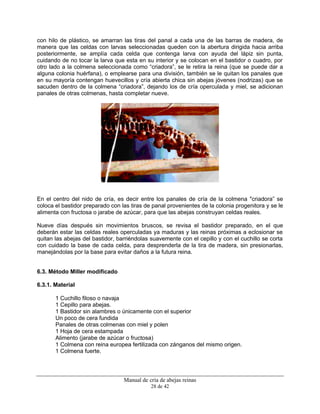 Manual de cría de abejas reinas
28 de 42
con hilo de plástico, se amarran las tiras del panal a cada una de las barras de madera, de
manera que las celdas con larvas seleccionadas queden con la abertura dirigida hacia arriba
posteriormente, se amplía cada celda que contenga larva con ayuda del lápiz sin punta,
cuidando de no tocar la larva que esta en su interior y se colocan en el bastidor o cuadro, por
otro lado a la colmena seleccionada como “criadora”, se le retira la reina (que se puede dar a
alguna colonia huérfana), o emplearse para una división, también se le quitan los panales que
en su mayoría contengan huevecillos y cría abierta chica sin abejas jóvenes (nodrizas) que se
sacuden dentro de la colmena “criadora”, dejando los de cría operculada y miel, se adicionan
panales de otras colmenas, hasta completar nueve.
En el centro del nido de cría, es decir entre los panales de cría de la colmena "criadora” se
coloca el bastidor preparado con las tiras de panal provenientes de la colonia progenitora y se le
alimenta con fructosa o jarabe de azúcar, para que las abejas construyan celdas reales.
Nueve días después sin movimientos bruscos, se revisa el bastidor preparado, en el que
deberán estar las celdas reales operculadas ya maduras y las reinas próximas a eclosionar se
quitan las abejas del bastidor, barriéndolas suavemente con el cepillo y con el cuchillo se corta
con cuidado la base de cada celda, para desprenderla de la tira de madera, sin presionarlas,
manejándolas por la base para evitar daños a la futura reina.
6.3. Método Miller modificado
6.3.1. Material
1 Cuchillo filoso o navaja
1 Cepillo para abejas.
1 Bastidor sin alambres o únicamente con el superior
Un poco de cera fundida
Panales de otras colmenas con miel y polen
1 Hoja de cera estampada
Alimento (jarabe de azúcar o fructosa)
1 Colmena con reina europea fertilizada con zánganos del mismo origen.
1 Colmena fuerte.
 