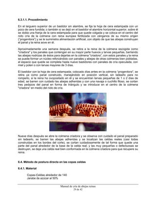 Manual de cría de abejas reinas
29 de 42
6.3.1.1. Procedimiento
En el larguero superior de un bastidor sin alambre, se fija la hoja de cera estampada con un
poco de cera fundida; o también si se dejó en el bastidor el alambre horizontal superior, sobre él
se dobla una franja de la cera estampada para que quede colgada y se coloca en el centro del
nido cría de la colmena con reina europea fertilizada con zánganos de su mismo origen
(“progenitora”) y se le suministra alimentación artificial, con objeto de que las abejas construyan
el panal y la reina aove en él.
Aproximadamente una semana después, se retira a la reina de la colmena escogida como
"criadora" y los panales que contengan en su mayor parte huevos y larvas pequeñas, barriendo
las abejas nodrizas de éstos para dejarlas en la colmena "criadora”, con estos panales y la reina
se puede formar un núcleo reforzándolo con panales y abejas de otras colmenas bien pobladas,
el espacio que quede se completa hasta nueve bastidores con panales de cría opeculada, con
miel y polen o con larvas mayores de 3 días.
El bastidor con la hoja de cera estampada, colocado días antes en la colmena “progenitora", se
retira ya como panal construido, manejándolo en posición vertical, sin ladearlo para no
romperlo, si la reina ha ovopositado en él y se encuentran larvas pequeñas de 1 o 2 días de
edad, se barren con cuidado las abejas adheridas y con una navaja o cuchillo filoso, se cortan
tres pedazos del panal en forma de triángulo y se introduce en el centro de la colmena
"criadora” en medio del nido de cría.
Nueve días después se abre la colmena criadora y se observa con cuidado el panal preparado
sin ladearlo, se barren las abejas adheridas y se localizan las celdas reales (casi todas
construidas en los bordes del corte), se cortan cuidadosamente de tal forma que quede una
parte del panal alrededor de la base de la celda real; y las muy pequeñas o defectuosas se
destruyen, se deja una celda real bien conformada en la colmena criadora para que recupere su
reina.
6.4. Método de postura directa en las copas celdas
6.4.1. Material
Copas-Celdas alrededor de 140
Jarabe de azúcar al 50%
 