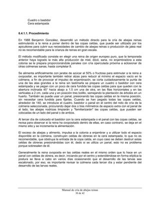 Manual de cría de abejas reinas
30 de 42
Cuadro o bastidor
Cera estampada
6.4.1.1. Procedimiento
En 1988 Benjamín González, desarrolló un método directo para la cría de abejas reinas
estimulando a la reina a poner dentro de las copas celdas, que puede ser utilizado por los
apicultores para cubrir sus necesidades de cambio de abejas reinas o producción de jalea real
no es recomendable para la crianza de reinas en gran escala.
El método modificado consiste en elegir una reina de origen europeo puro, que la temporada
anterior haya logrado la más alta producción de miel, dócil, sana, no enjambradora a esta
colonia se le prepara proporcionándole panales con cría operculada próxima a eclosionar de
otras colmenas sanas, hasta completar 8.
Se alimenta artificialmente con jarabe de azúcar al 50% o fructosa para estimular a la reina a
ovopositar, es importante también retirar alzas para reducir al mínimo el espacio vacío en la
colmena, a fin de provocar el impulso de enjambrazón, se corta cuidadosamente la punta de
una de las alas grandes a la reina sin lastimarla se prepara un cuadro o bastidor con cera
estampada y se pegan con un poco de cera fundida las copas celdas para que queden con la
abertura inclinada 45° hacia abajo a 1.5 cm una de otra, en las filas horizontales y en las
verticales a 2 cm. cada una y en posición tres bolillo, semejando la plantación de árboles en un
huerto. También se puede usar un panal, presionando las copas celdas en la misma posición,
sin necesitar cera fundida para fijarlas. Cuando se han pegado todas las copas celdas,
alrededor de 140, se introduce el cuadro, bastidor o panal en el centro del nido de cría de la
colmena seleccionada, procurando dejar dos o tres milímetros de espacio extra con el panal de
al lado, las abejas nodrizas limpiarán y "familiarizarán" las copas celdas, que pueden ser
colocadas de un lado del panal o de ambos.
Al tercer día de colocado el bastidor con la cera estampada o el panal con las copas celdas, se
revisa para observar si la reina ha ovopositado dentro de ellas, en caso contrario, se deja en el
mismo sitio y se incrementa la alimentación.
El exceso de abejas y alimento, impulsa a la colonia a enjambrar y a utilizar todo el espacio
disponible en la colmena, construyen celdas de obreras en la cera estampada, lo que no es
recomendable, que obstruya la entrada de la copa celda, en cuyo caso se deben destruir estas
celdas de obreras presionándolas con él, dedo si se utiliza un panal, esto no es problema
porque sobresalen de él.
Generalmente la reina ovoposita en las celdas reales en el mismo orden que lo hace en un
panal con celdas de obrera, es decir, iniciando por el centro y extendiéndose en forma elíptica la
postura se lleva a cabo en varios días ocasionando que el desarrollo de las larvas sea
escalonado, por eso, es importante revisar la colmena cada tercer día y estar pendiente del
desarrollo de las larvas reales.
 