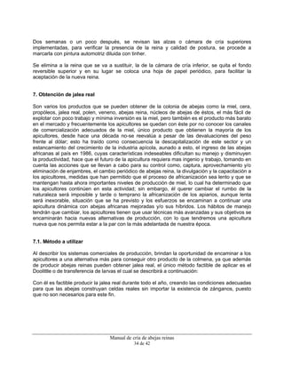 Manual de cría de abejas reinas
34 de 42
Dos semanas o un poco después, se revisan las alzas o cámara de cría superiores
implementadas, para verificar la presencia de la reina y calidad de postura, se procede a
marcarla con pintura automotriz diluida con tinher.
Se elimina a la reina que se va a sustituir, la de la cámara de cría inferior, se quita el fondo
reversible superior y en su lugar se coloca una hoja de papel periódico, para facilitar la
aceptación de la nueva reina.
7. Obtención de jalea real
Son varios los productos que se pueden obtener de la colonia de abejas como la miel, cera,
propóleos, jalea real, polen, veneno, abejas reina, núcleos de abejas de éstos, el más fácil de
explotar con poco trabajo y mínima inversión es la miel, pero también es el producto más barato
en el mercado y frecuentemente los apicultores se quedan con éste por no conocer los canales
de comercialización adecuados de la miel, único producto que obtienen la mayoría de los
apicultores, desde hace una década no-se reevalúa a pesar de las devaluaciones del peso
frente al dólar; esto ha traído como consecuencia la descapitalización de este sector y un
estancamiento del crecimiento de la industria apícola, aunado a esto, el ingreso de las abejas
africanas al país en 1986, cuyas características indeseables dificultan su manejo y disminuyen
la productividad, hace que el futuro de la apicultura requiera mas ingenio y trabajo, tomando en
cuenta las acciones que se llevan a cabo para su control como, captura, aprovechamiento y/o
eliminación de enjambres, el cambio periódico de abejas reina, la divulgación y la capacitación a
los apicultores, medidas que han permitido que el proceso de africanización sea lento y que se
mantengan hasta ahora importantes niveles de producción de miel, lo cual ha determinado que
los apicultores continúen en esta actividad; sin embargo, él querer cambiar el rumbo de la
naturaleza será imposible y tarde o temprano la africanización de los apiarios, aunque lenta
será inexorable, situación que se ha previsto y los esfuerzos se encaminan a continuar una
apicultura dinámica con abejas africanas mejoradas y/o sus híbridos. Los hábitos de manejo
tendrán que cambiar, los apicultores tienen que usar técnicas más avanzadas y sus objetivos se
encaminarán hacia nuevas alternativas de producción, con lo que tendremos una apicultura
nueva que nos permita estar a la par con la más adelantada de nuestra época.
7.1. Método a utilizar
Al describir los sistemas comerciales de producción, brindan la oportunidad de encaminar a los
apicultores a una alternativa más para conseguir otro producto de la colmena, ya que además
de producir abejas reinas pueden obtener jalea real, el único método factible de aplicar es el
Doolittle o de transferencia de larvas el cual se describirá a continuación:
Con él es factible producir la jalea real durante todo el año, creando las condiciones adecuadas
para que las abejas construyan celdas reales sin importar la existencia de zánganos, puesto
que no son necesarios para este fin.
 