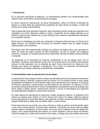 Manual de cría de abejas reinas
1 de 42
1. Introducción
En la apicultura tecnificada la selección y el mejoramiento genético son fundamentales para
obtener mayor rendimiento y productividad de las abejas.
La forma natural de reproducción de estos himenópteros, ofrece al hombre la facilidad de
ejercer un control sobre las características genéticas de cada colonia de abejas, a través del
cambio de su abeja reina fertilizada.
Para el desarrollo de la apicultura mexicana, ésta importante práctica zootécnica adquiere en la
actualidad una mayor relevancia debido al arribo y dispersión de las abejas africanas en el
territorio nacional, que implicará de un gran esfuerzo para mantener características deseables
en la población apícola.
Dentro de las estrategias de acción que contempla el Programa Nacional para el Control de la
Abeja Africana, se considera vital la práctica de mantener abejas reina de origen europeo
seleccionadas en las colmenas.
Para lograr esto será indispensable certificar los criaderos de abejas reina, para garantizar la
venta de reinas de origen europeo de libre fertilización, las que al copular con zánganos
africanos y europeos en variadas proporciones mantendrán colonias de abejas obreras híbridas
y europeas.
Se desprende así la necesidad de fomentar ampliamente la cría de abejas reina. Con la
orientación necesaria, todo apicultor puede criar sus propias reinas. El contenido del presente
manual ha sido preparado con el propósito de servir como documento de referencia a los
técnicos que habrán de capacitar a apicultores. Por lo tanto, se presentan procedimientos
simplificados que pueden adaptarse a las diferentes necesidades.
2. Generalidades sobre la reproducción de las abejas
La reproducción de las abejas se lleva a efecto sexualmente para las dos castas de hembras de
la colonia (reinas y obreras) y asexual para los machos. En una colonia normal, la reina, abeja
sexualmente completa es la única hembra capaz de la reproducción de la especie, en la época
de floración abundante, cuando existe una gran afluencia de alimento a la colmena, la reina
incrementa extraordinariamente el número de pobladores ovopositando huevos fecundados que
darán origen a abejas obreras, (reproducción sexual) y huevos no fecundados que originarán
por partenogénesis zánganos, (reproducción asexual.)
En estas épocas de abundancia de alimentos, existen zánganos maduros, la población de la
colonia se prepara para originar en forma natural otra colonia de abejas, eligiendo algunas
larvas originadas de huevos fecundados, para agrandar su celda y proporcionarles alimentación
especial basándose en jalea real, que darán origen a nuevas reinas.
Pocos días antes de que emerja una nueva reina de su celda, la colonia se divide dando origen
a una nueva colonia apícola, conocida como enjambre, constituido por varios miles de abejas
obreras, algunos zánganos y la reina madre, no es raro que en algunas líneas de abejas den
origen a uno o varios enjambres secundarios, con reinas vírgenes y menor número de obreras.
Cuando emerge de su celda real la primera reina virgen, se dirige a las otras celdas reales para
 