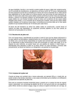 Manual de cría de abejas reinas
37 de 42
de agua destilada, hervida o una mezcla a partes iguales de agua y jalea real; posteriormente,
con la cucharilla de transferencia, se selecciona una larva menor de 72 horas y delicadamente
se toma pasando la punta de la cucharilla por el dorso de la larva sacándola de su celda natural
para depositarla en la copa celda en la misma posición que tenía antes de esta operación; se
repite 75 veces para cada marco porta celdas cuando se termina el primer marco es importante
llevarlo y colocar a la colmena criadora; es recomendable cubrir a las larvas transferidas a las
copas celdas con una franela húmeda y llevar el marco con la abertura de las copas celdas
dirigidas hacia arriba y, en el momento de la introducción invertirlo, para que las copas celdas
queden dirigidas con la abertura hacia abajo, la transferencia de larvas debe ser lo más rápido
posible sin que exceda el tiempo de 15 minutos para cada marco.
Al tercer día del translarve se retiran las celdas reales en construcción, cuando tienen el
máximo de jalea real depositada; en ocasiones conviene dejarlas un día más cuando se
observan con poca jalea en su interior.
7.3.3. Recolección de jalea real
Con una navaja limpia y desinfectada se procede a cortar la cera que las abejas adicionaron a
la copa celda al ras del plástico, posteriormente con la cucharilla de translarve, también limpia,
se retiran una a una las larvas suspendidas en la jalea real concluido esto, con el succionador
se va obteniendo la jalea introduciendo el tubo del succionador en cada copa celda. Si no se
dispone de este motorcito, se puede hacer con una paletita de madera o metal limpia y ,
desinfectada para depositar la jalea en el frasco ámbar con tapa hermética; concluido este
procedimiento, se llevan los frascos a un refrigerador y se guardan en la parte baja.
7.3.4. Limpieza de la jalea real
Cuando se tenga una cantidad más o menos adecuada, por ejemplo 250 gr. o medio kilo, se
puede vender a las tiendas naturistas o a las casas comerciales que se dedican a la liofilización
y preparación de cápsulas de jalea real.
Para esto es necesario limpiarla haciéndola pasar a presión por un pedazo de tela de organdí
limpio y planchado, con una jeringa de plástico de 50 ml. a la que se corta con una segueta la
parte inferior donde se coloca la aguja, luego se coloca el organdí amarrado con una liga, se
 