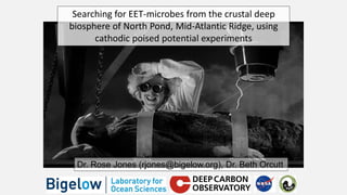 Searching for EET-microbes from the crustal deep
biosphere of North Pond, Mid-Atlantic Ridge, using
cathodic poised potential experiments
Dr. Rose Jones (rjones@bigelow.org), Dr. Beth Orcutt
 