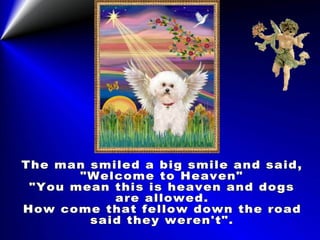 The man smiled a big smile and said, "Welcome to Heaven" "You mean this is heaven and dogs are allowed. How come that fellow down the road said they weren't". 