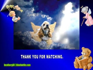 THANK YOU FOR WATCHING. [email_address] 