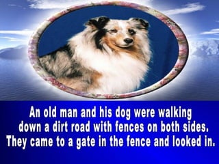 An old man and his dog were walking down a dirt road with fences on both sides.  They came to a gate in the fence and looked in. 