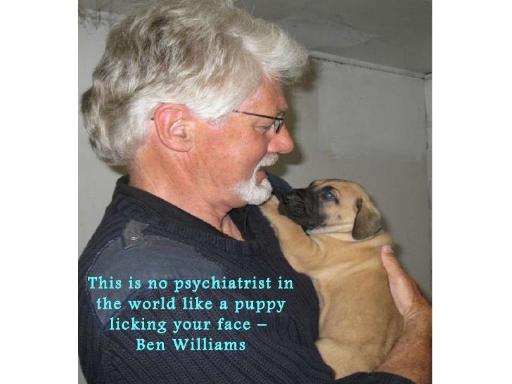 mans-best-friend-17-728.jpg