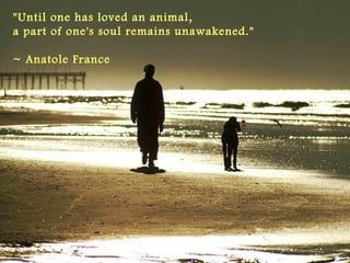 "Until one has loved an animal, 
a part of one's soul remains unawakened." 
~ Anatole France
 
