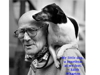 My little dog,
-a heartbeat
- at my feet." 
~ Edith
Wharton
 