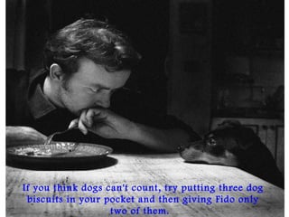 If you think dogs can't count, try putting three dog
biscuits in your pocket and then giving Fido only
two of them. 
 