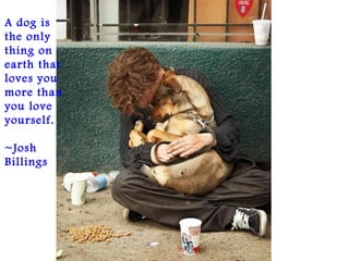 A dog is
the only
thing on
earth that
loves you
more than
you love
yourself. 
~Josh
Billings
 