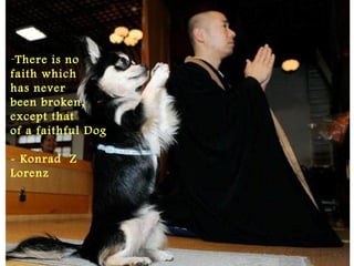 -There is no
faith which
has never
been broken,
except that
of a faithful Dog
- Konrad Z
Lorenz
 