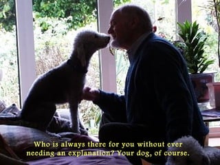 Who is always there for you without ever
needing an explanation? Your dog, of course.
 