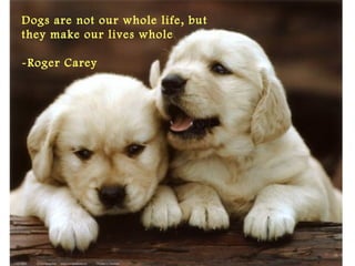 Dogs are not our whole life, but
they make our lives whole
-Roger Carey
 