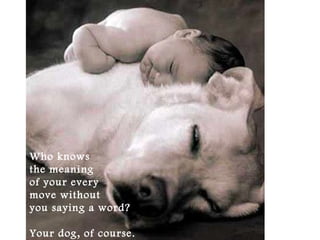 Who knows
the meaning
of your every
move without
you saying a word?
Your dog, of course.
 