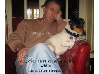 Tom, ever alert keeping watch
while
his master sleeps…
 