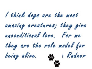 I think dogs are the most
amazing creatures; they give
unconditional love.  For me
they are the role model for
being alive.  ~Gilda Radner
 