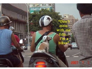“Don’t
mess
with me
fido...
I’m a
biker”
 