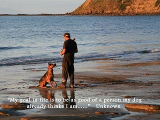 "My goal in life is to be as good of a person my dog
already thinks I am......” Unknown 
 