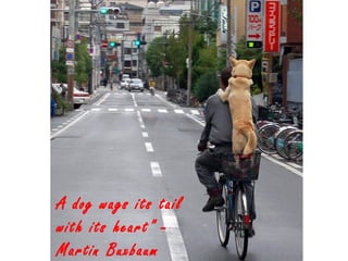 A dog wags its tail
with its heart" -
Martin Buxbaum
 