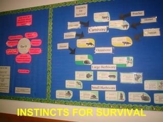 INSTINCTS FOR SURVIVAL
 