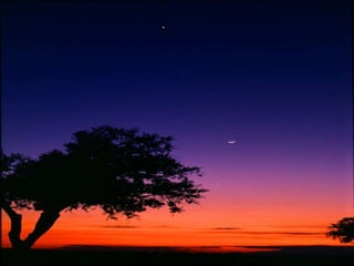 Mansidão, irritabilidade e higiene do coração