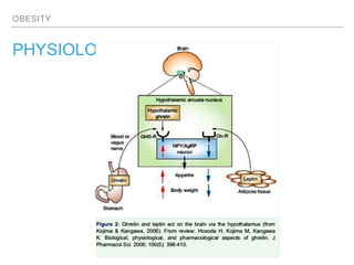 OBESITY
PHYSIOLOGY
 