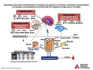 Signaling in the brain of adolescents in response to glucose or fructose: schematic representation
of changes in the periphery and brain after the ingestion of glucose or fructose.
George A. Bray Diabetes 2016;65:1797-1799
©2016 by American Diabetes Association
 