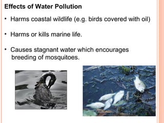 Effects of Water Pollution
• Harms coastal wildlife (e.g. birds covered with oil)

• Harms or kills marine life.

• Causes stagnant water which encourages
  breeding of mosquitoes.
 