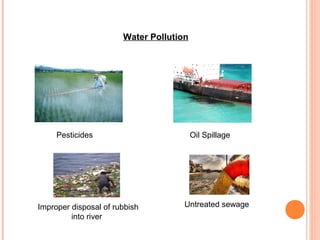 Water Pollution




     Pesticides                          Oil Spillage




Improper disposal of rubbish         Untreated sewage
         into river
 