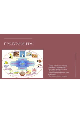 Lipids.pdf