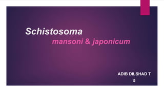 Schistosoma
ADIB DILSHAD T
5
mansoni & japonicum
 