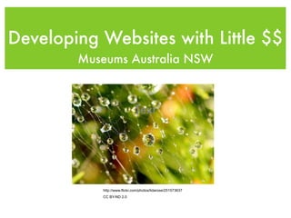 Developing Websites with Little $$
        Museums Australia NSW



                              Text




           http://www.flickr.com/photos/lidarose/251573637
           CC BY-ND 2.0
 