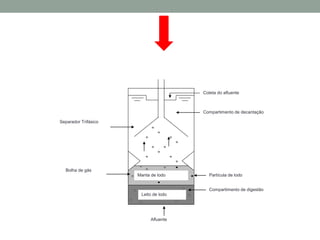 Afluente
Coleta do afluente
Compartimento de decantação
Partícula de lodo
Compartimento de digestão
Separador Trifásico
Bolha de gás
Manta de lodo
Leito de lodo
 
