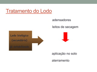 Tratamento do Lodo
Lodo biológico
(secundário)
já estabilizado
adensadores
leitos de secagem
aplicação no solo
aterramento
 
