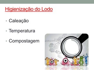Higienização do Lodo
• Caleação
• Temperatura
• Compostagem
 