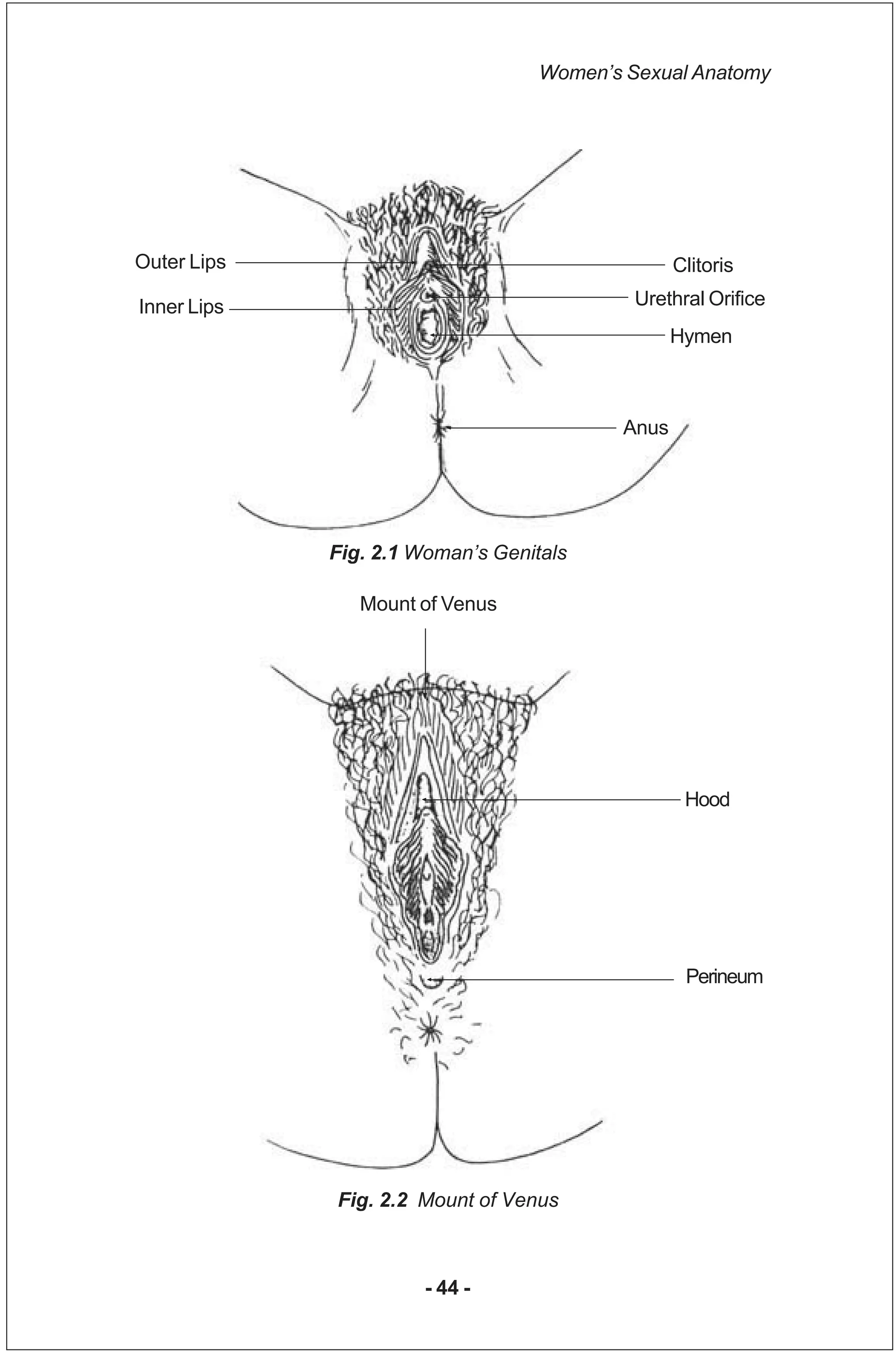 Uy qizlari yalangoch fotosuratlar