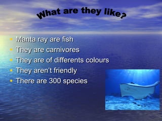 •
•
•
•
•

Manta ray are fish
They are carnivores
They are of differents colours
They aren’t friendly
There are 300 specie...