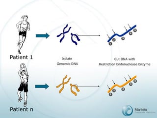 Patient 1 
Patient n 
Isolate 
Genomic DNA 
Cut DNA with 
Restriction Endonuclease Enzyme 
1 
2 
3 
4 
5 
1 
2 
3 
4 
5 
 