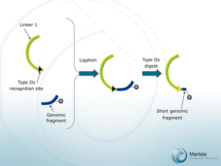 Type IIs 
recognition site 
n 
Genomicfragment 
n 
Ligation 
Type IIs 
digest 
Short genomic 
fragment 
n 
Linker 1  