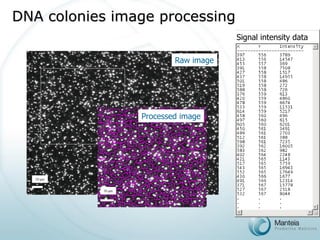 Signal intensity dataDNA colonies image processing 
Raw image 
10 mm 
Processed image 
10 mm  