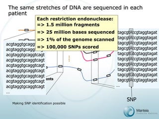 The same stretches of DNA are sequenced in each patient 
patient #1 
patient #47 
patient #125 
patient #571 
.... 
.... 
Sequenced fragments 
acgtaggtgcaggtcagt 
acgtaggtgcaggtcagt 
acgtaggtgcaggtcagt 
acgtaggtgcaggtcagt 
acgtaggtgcaggtcagt 
acgtaggtgcaggtcagt 
acgtaggtgcaggtcagt 
acgtaggtgcaggtcagt 
acgtaggtgcaggtcagt 
… 
tagcgtAtcgtaggtagat 
tagcgtAtcgtaggtagat 
tagcgtAtcgtaggtagat 
tagcgtAtcgtaggtagat 
tagcgtGtcgtaggtagat 
tagcgtAtcgtaggtagat 
tagcgtAtcgtaggtagat 
tagcgtAtcgtaggtagat 
tagcgtGtcgtaggtagat 
tagcgtAtcgtaggtagat 
… 
SNP 
Making SNP identification possible 
Each restriction endonuclease: => 1.5 million fragments 
=> 25 million bases sequenced 
=> 1% of the genome scanned 
=> 100,000 SNPs scored  