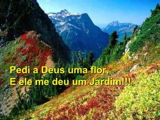 Pedi a Deus uma flor,
E ele me deu um Jardim!!!

 