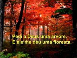 Pedi a Deus uma árvore,
E ele me deu uma floresta.

 