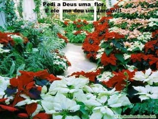 Pedi a Deus uma flor,
               E ele me deu um Jardim!!!




20 SET 2004       MONTAGEM:        ROCELHOU@BRTURBO.COM
 