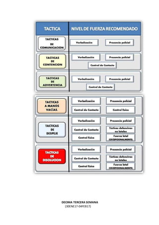 DECIMA TERCERA SEMANA
(30ENE17-04FEB17)
 