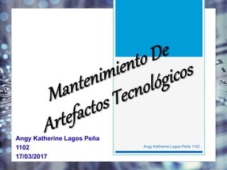 Angy Katherine Lagos Peña
1102
17/03/2017
Angy Katherine Lagos Peña 1102
 