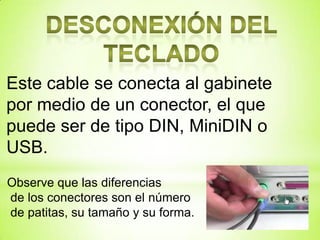 Este cable se conecta al gabinete
por medio de un conector, el que
puede ser de tipo DIN, MiniDIN o
USB.
Observe que las diferencias
de los conectores son el número
de patitas, su tamaño y su forma.
 