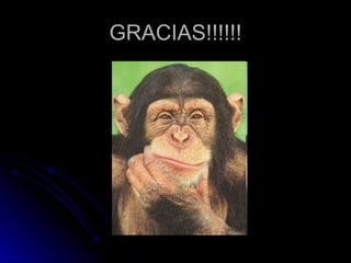 GRACIAS!!!!!! 