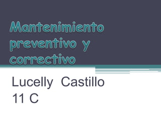 Lucelly Castillo
11 C
 